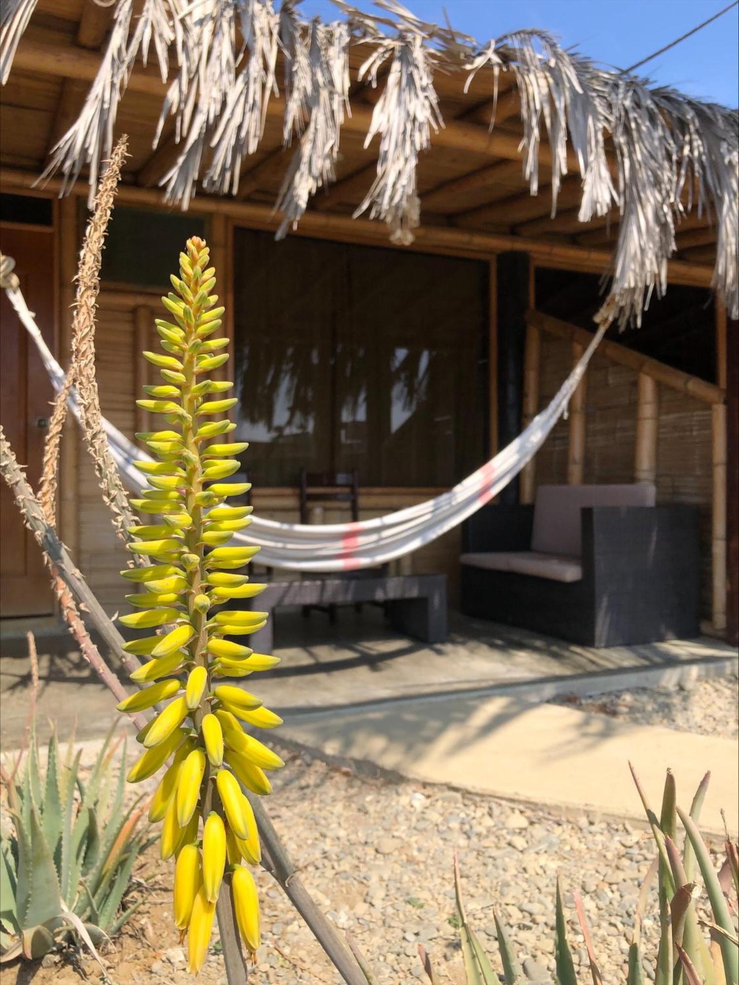Wayra Hotel Lobitos Eksteriør billede
